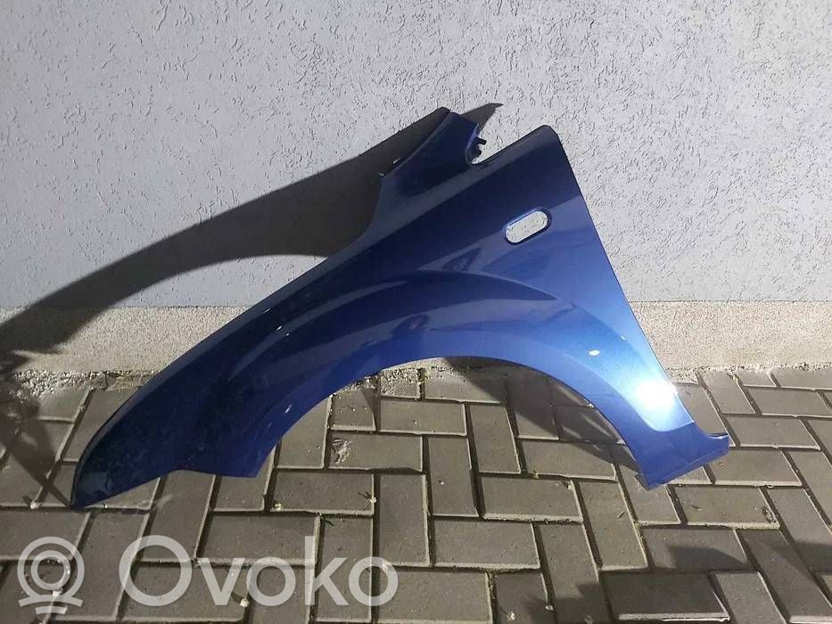Fender   BLUE