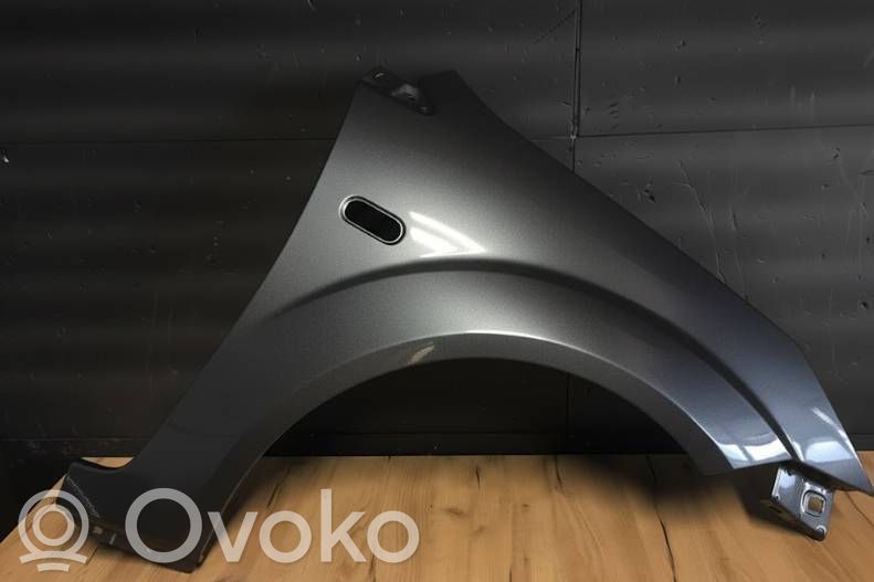 Ford Fiesta Fender 