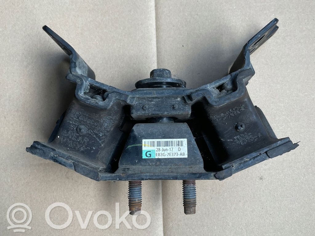 Ford Ranger Dzinēja spilvens 