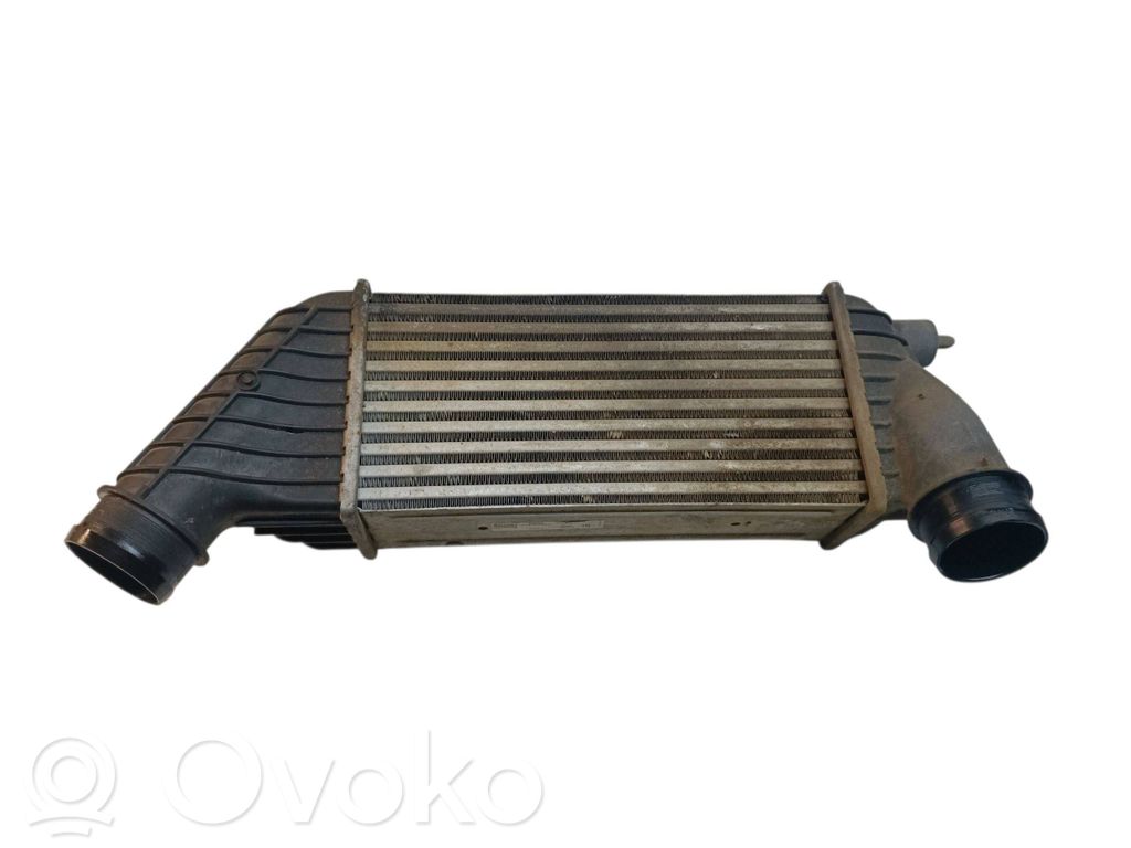 Peugeot Expert Starpdzesētāja radiators 