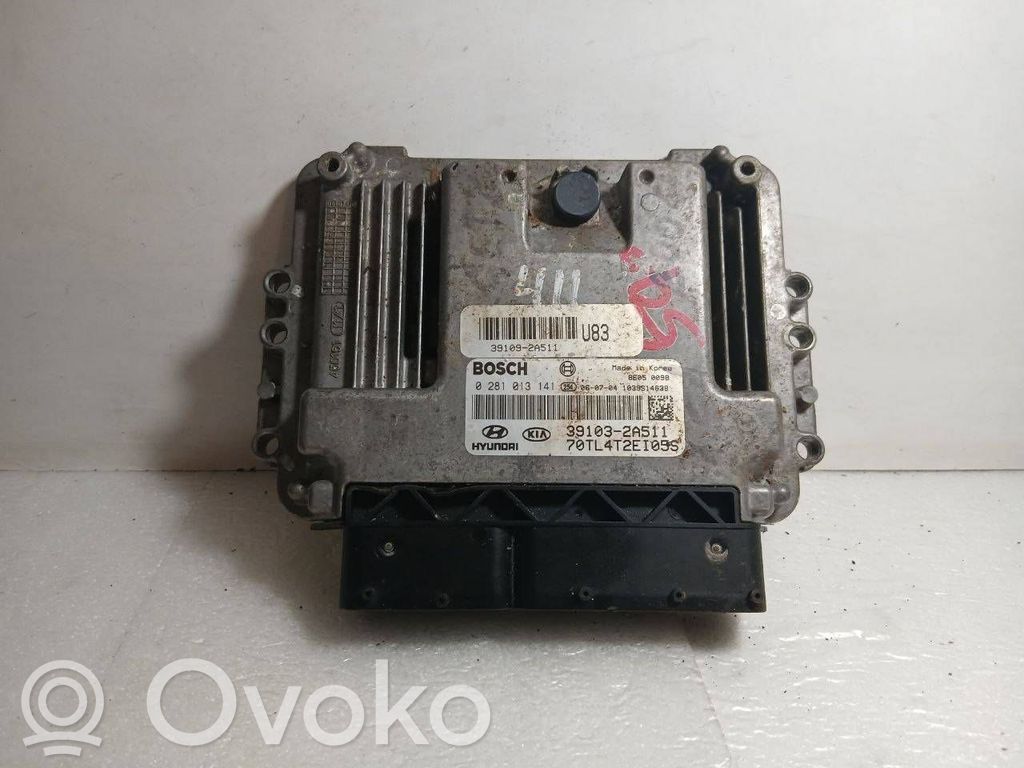 Hyundai Getz Engine control unit/module 