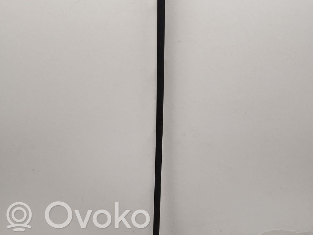 Ford Explorer VI Windshield trim 