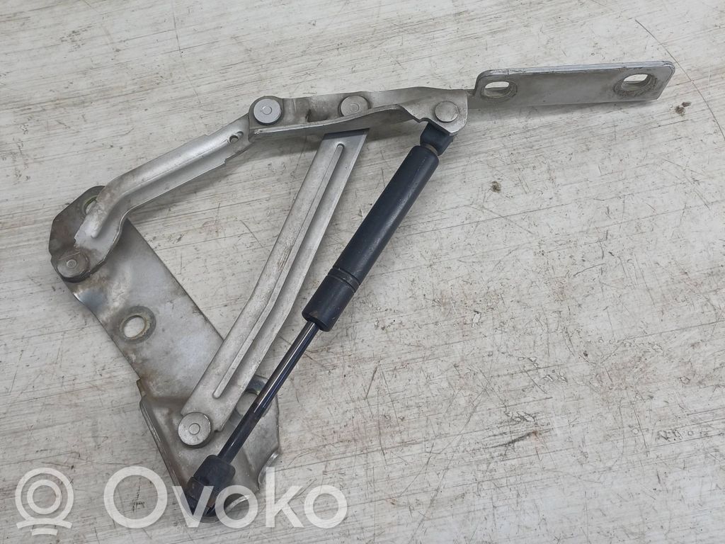 Tailgate/trunk/boot hinge