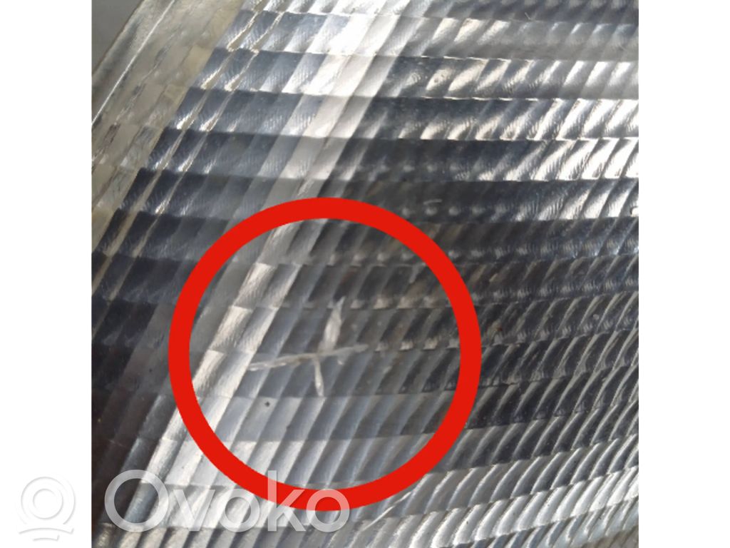 Volkswagen Sharan Front indicator light 