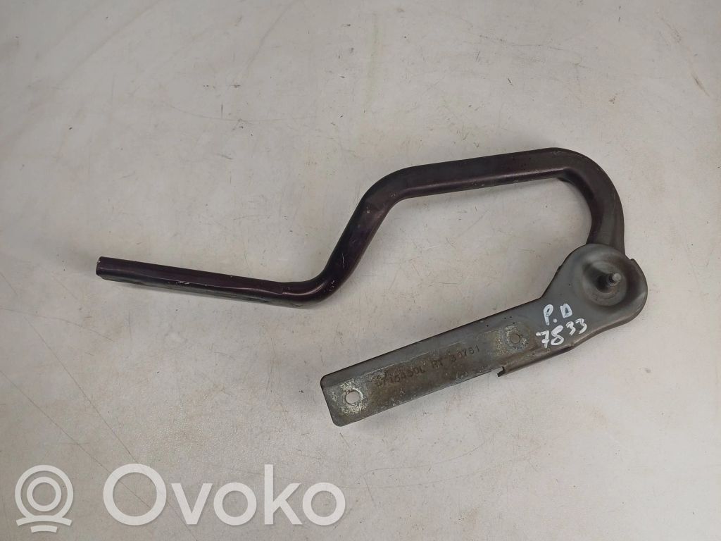 Chrysler Voyager Engine bonnet/hood hinges 