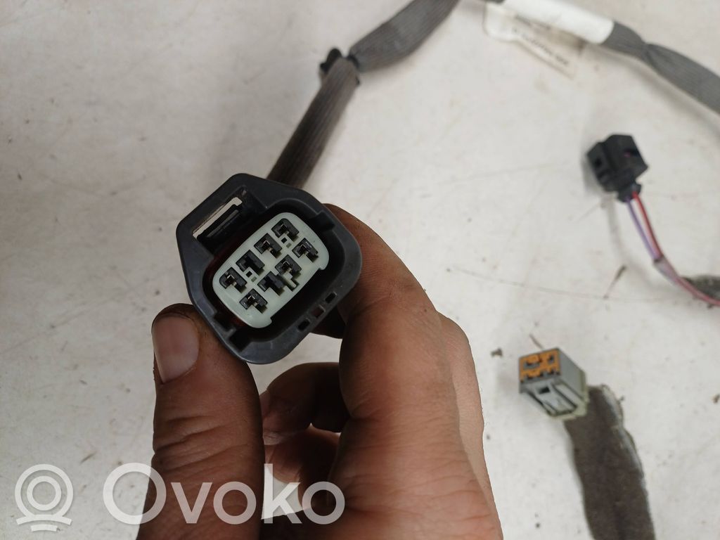 Cableado de puerta trasera   9452523