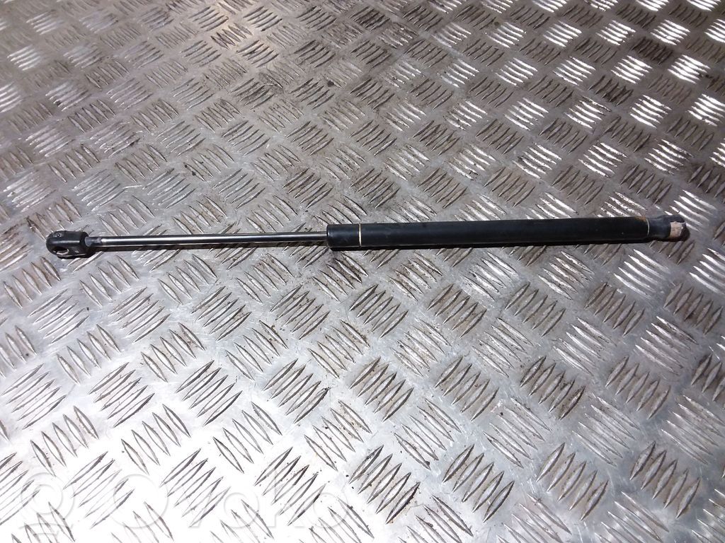 Dodge Caliber Tailgate/trunk strut/damper 