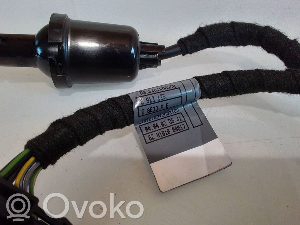 Cableado de puerta delantera   6913125,6920291,10673111