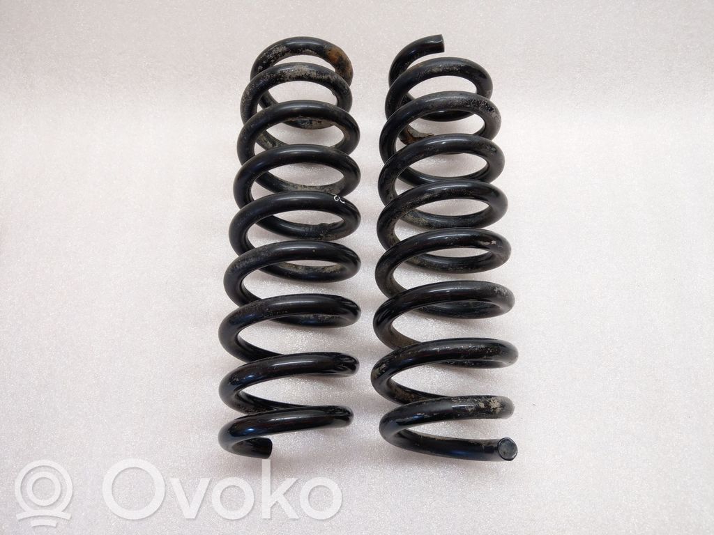 Rear coil spring