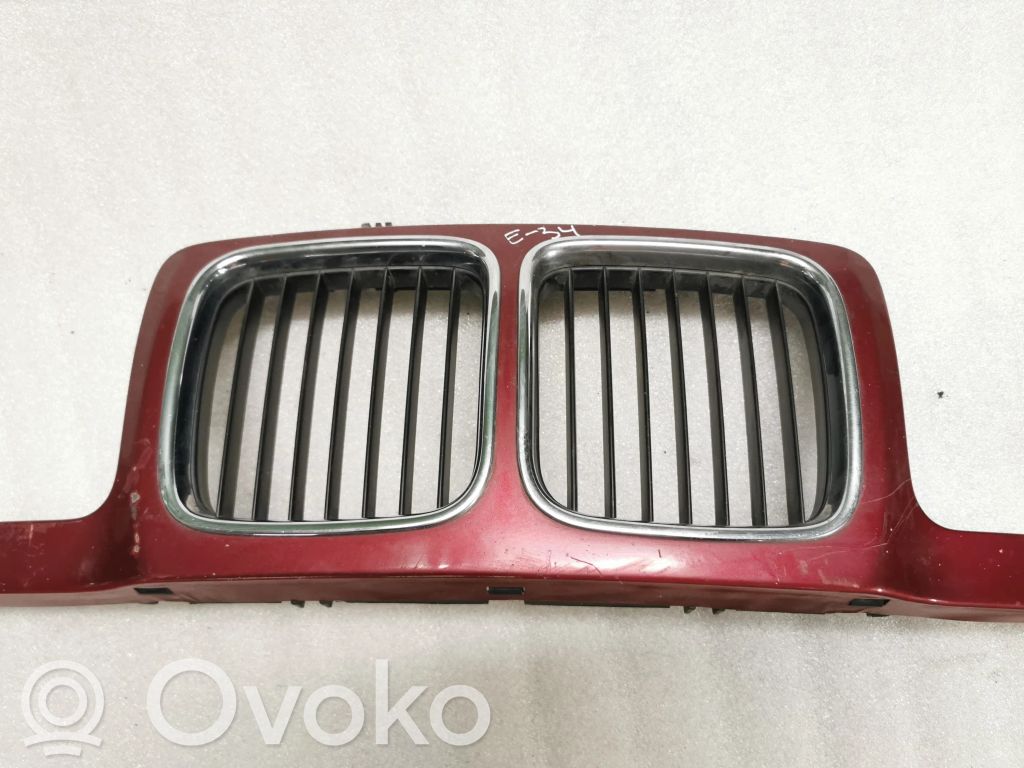 Front grill   1973825