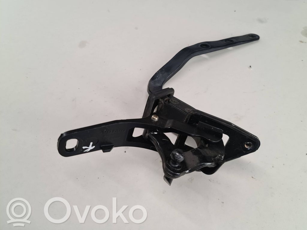 Tailgate/trunk/boot hinge   8645157