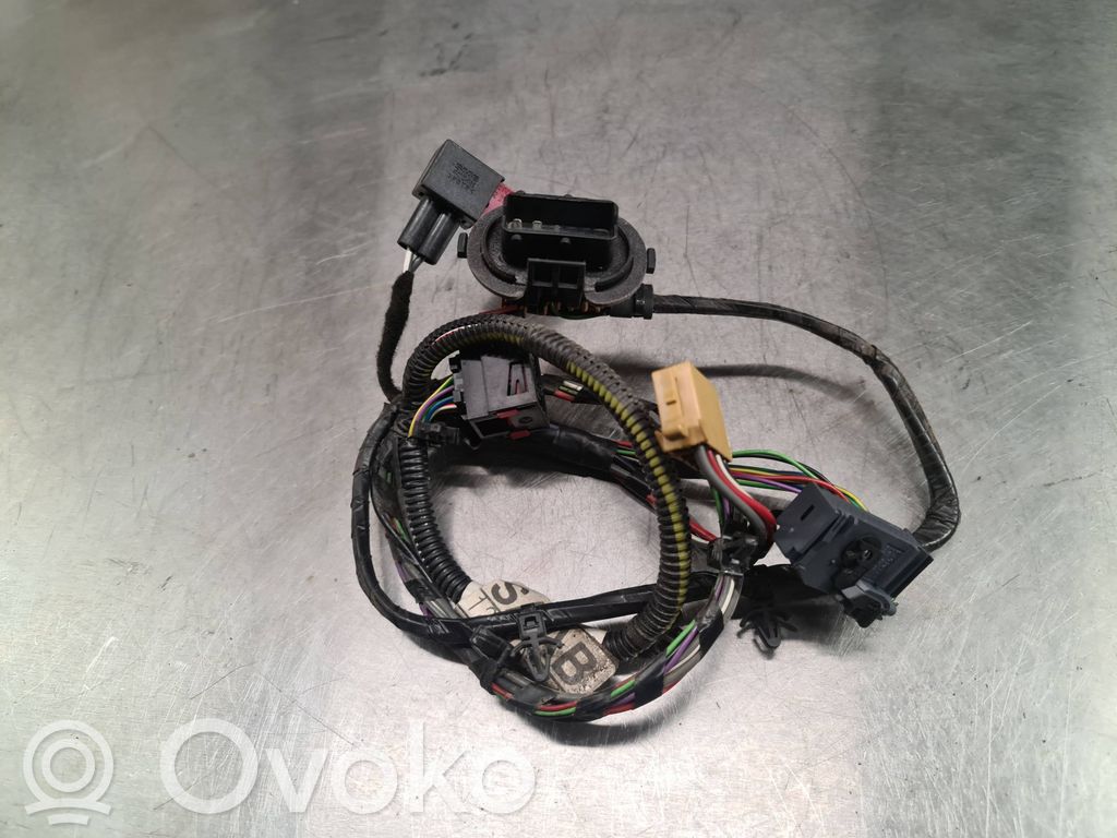 Cableado de puerta trasera   12789774,901464D