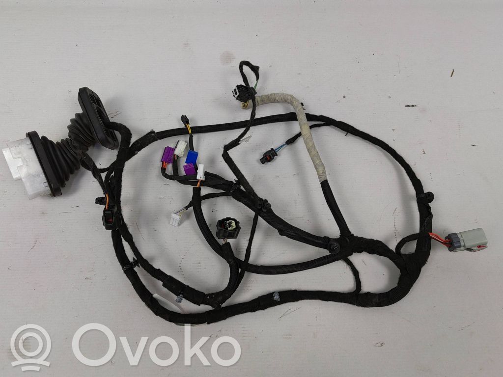 Dodge Challenger Cableado de puerta delantera 