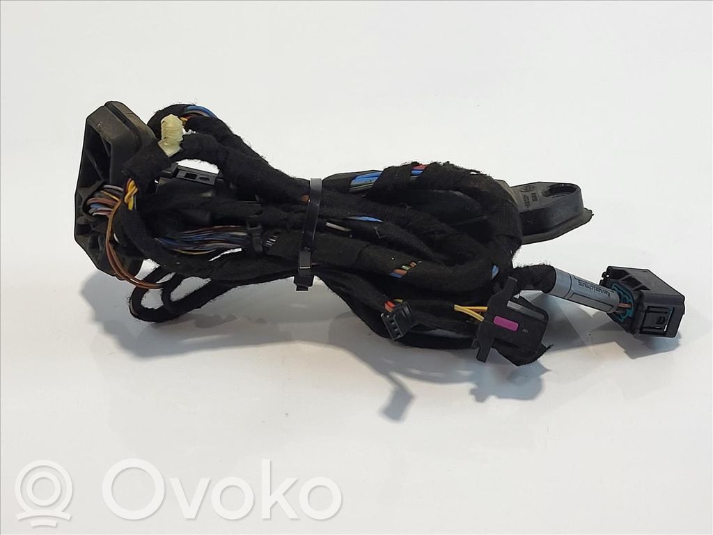BMW X5 E53 Cableado de puerta trasera 
