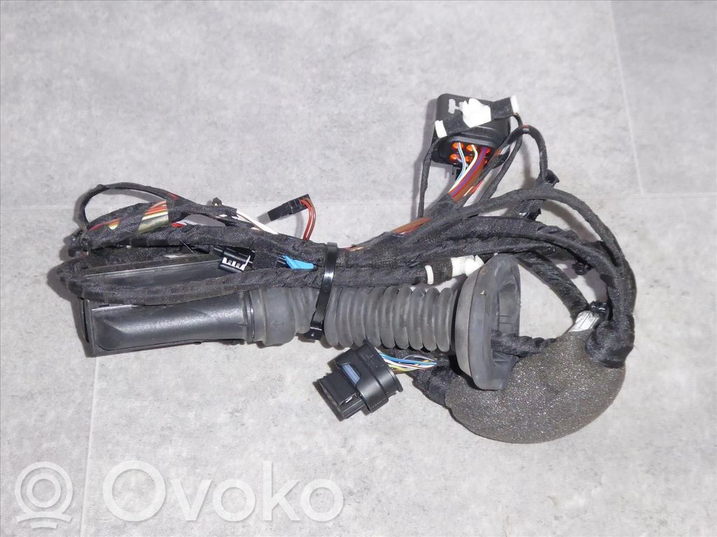 BMW X3 G01 Cableado de puerta trasera 
