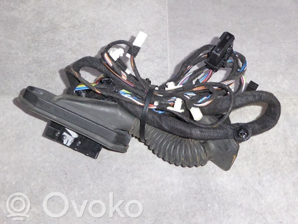 BMW X1 E84 Cableado de puerta delantera 