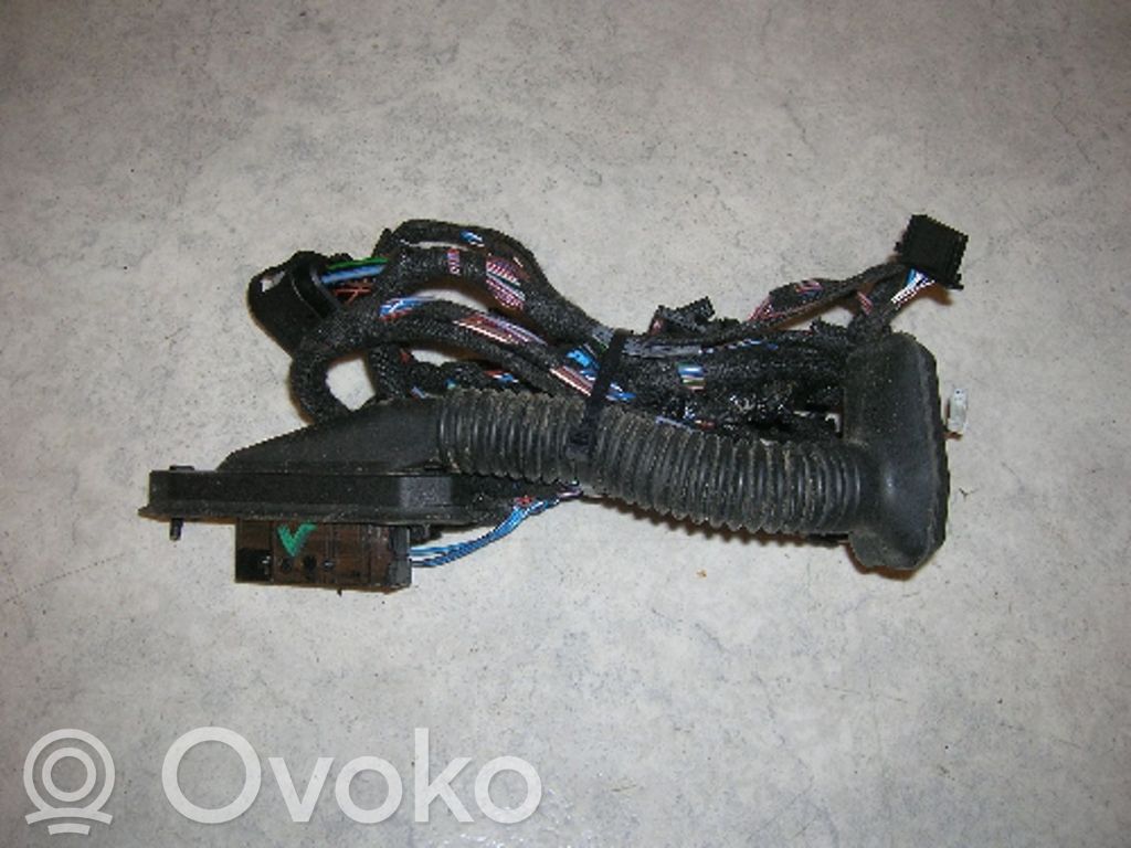 BMW 3 E92 E93 Cableado de puerta delantera 