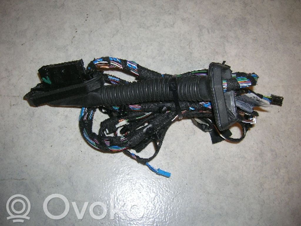 BMW 3 E92 E93 Cableado de puerta delantera 