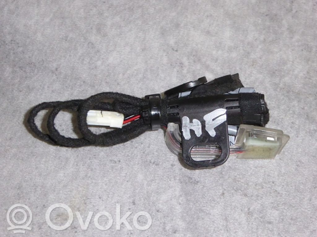 BMW X5 E70 Front door handle light (exterior) 
