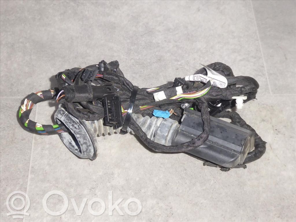 BMW 3 GT F34 Wiązka przewodów drzwi tylnych 