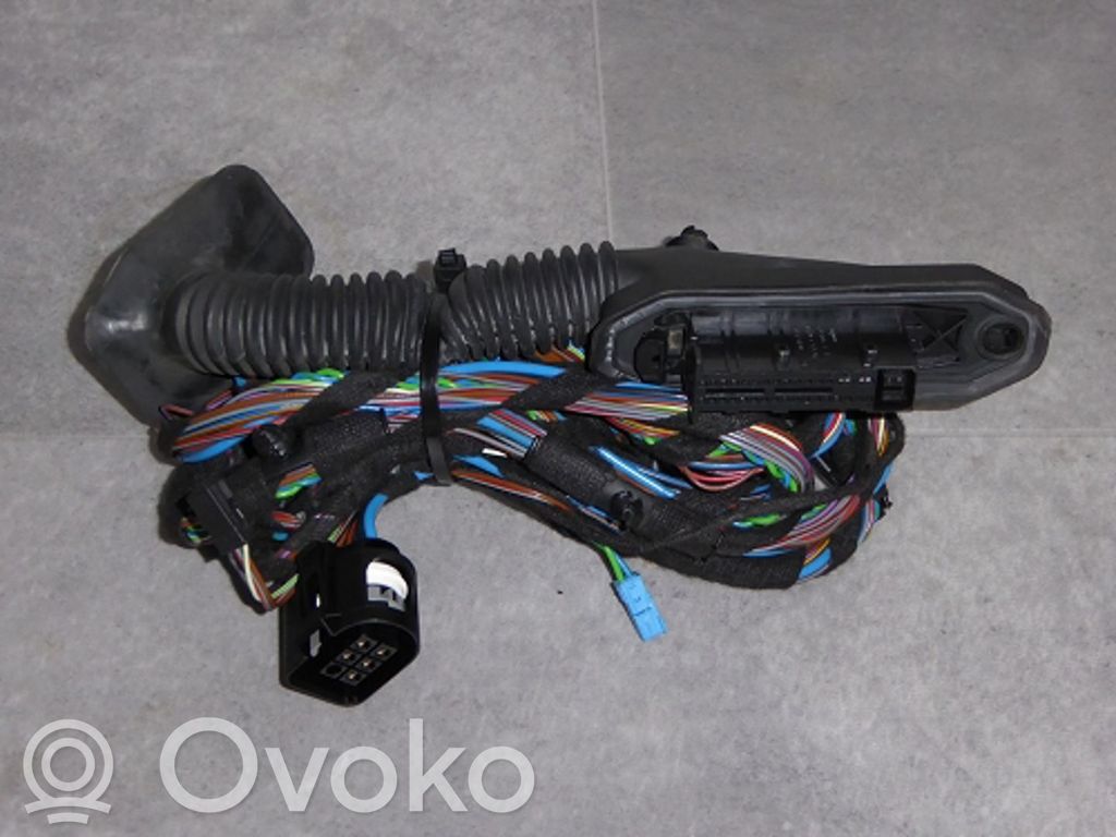 BMW X5 E70 Cableado de puerta trasera 