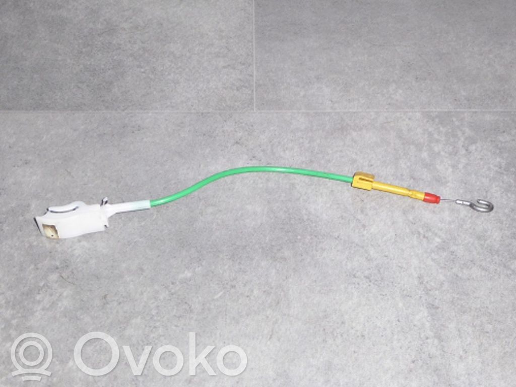 BMW 5 E39 Línea de cable puerta delantera 