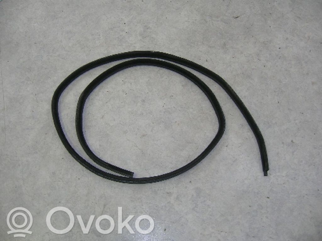 Gumowa uszczelka drzwi tylnych   51728194684,51728194684