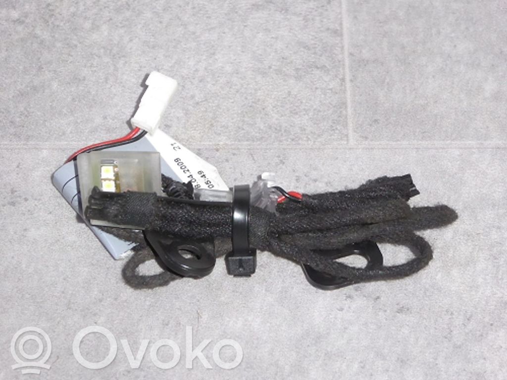 BMW X5 E70 Front door handle light (exterior) 