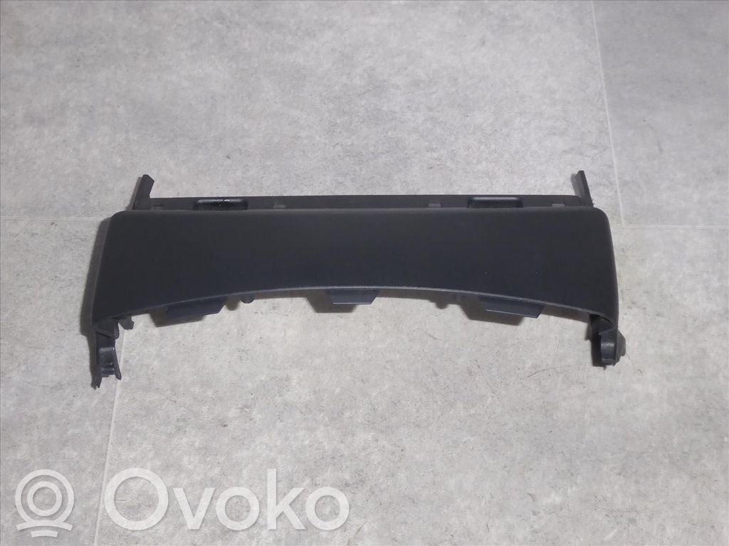 Moldura del panel (Usadas)   61316947772,61316947772