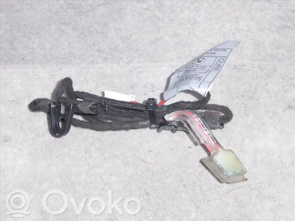BMW X5 E70 Front door handle light (exterior) 