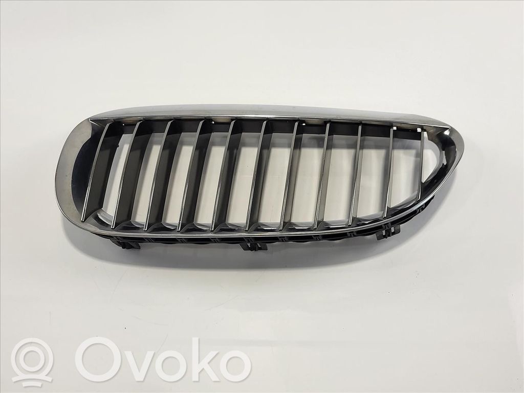 BMW 6 E63 E64 Bonnet/hood grill 