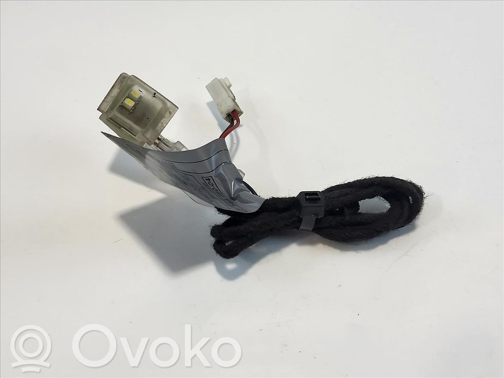 BMW X5 E70 Front door handle light (exterior) 