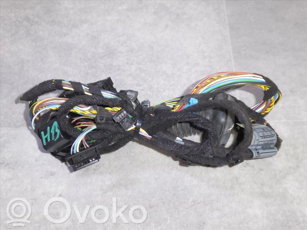 BMW X3 E83 Cableado de puerta trasera 