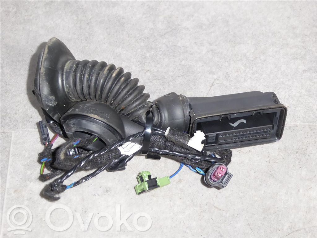 BMW i3 Cableado de puerta trasera 
