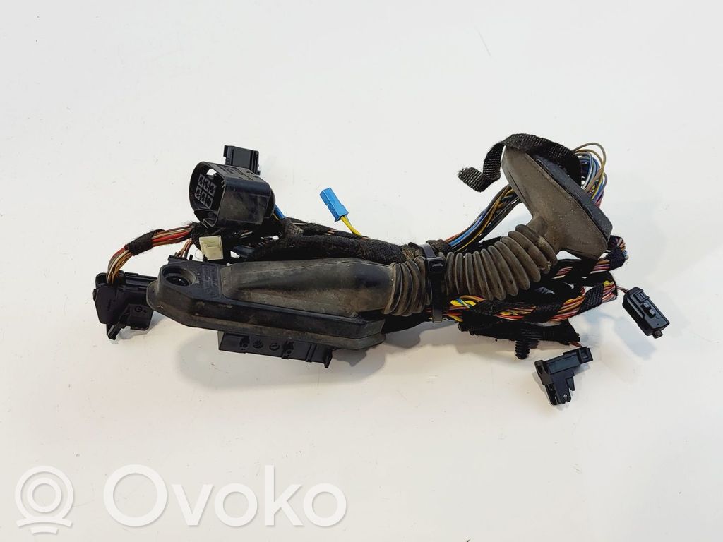 BMW X5 E70 Cableado de puerta delantera 