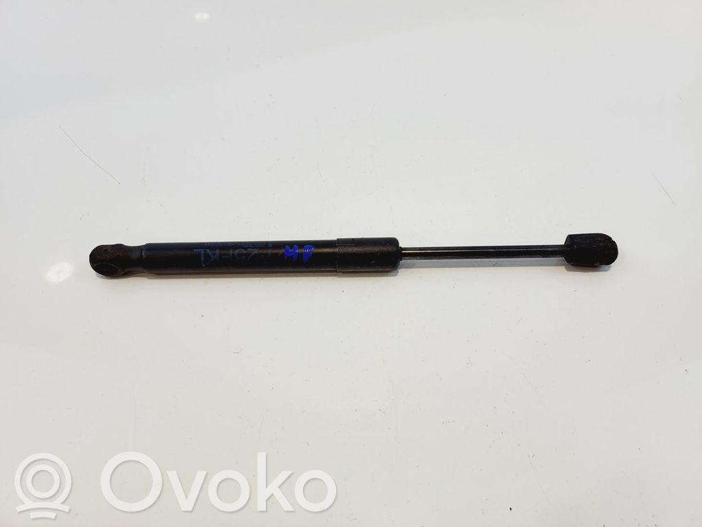 BMW X4 F26 Ammortizzatore portellone anteriore/cofano