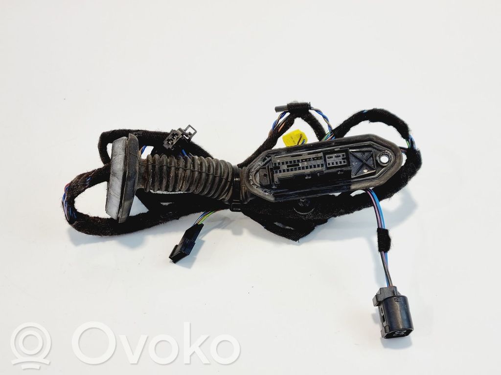 BMW 3 E46 Cableado de puerta delantera 