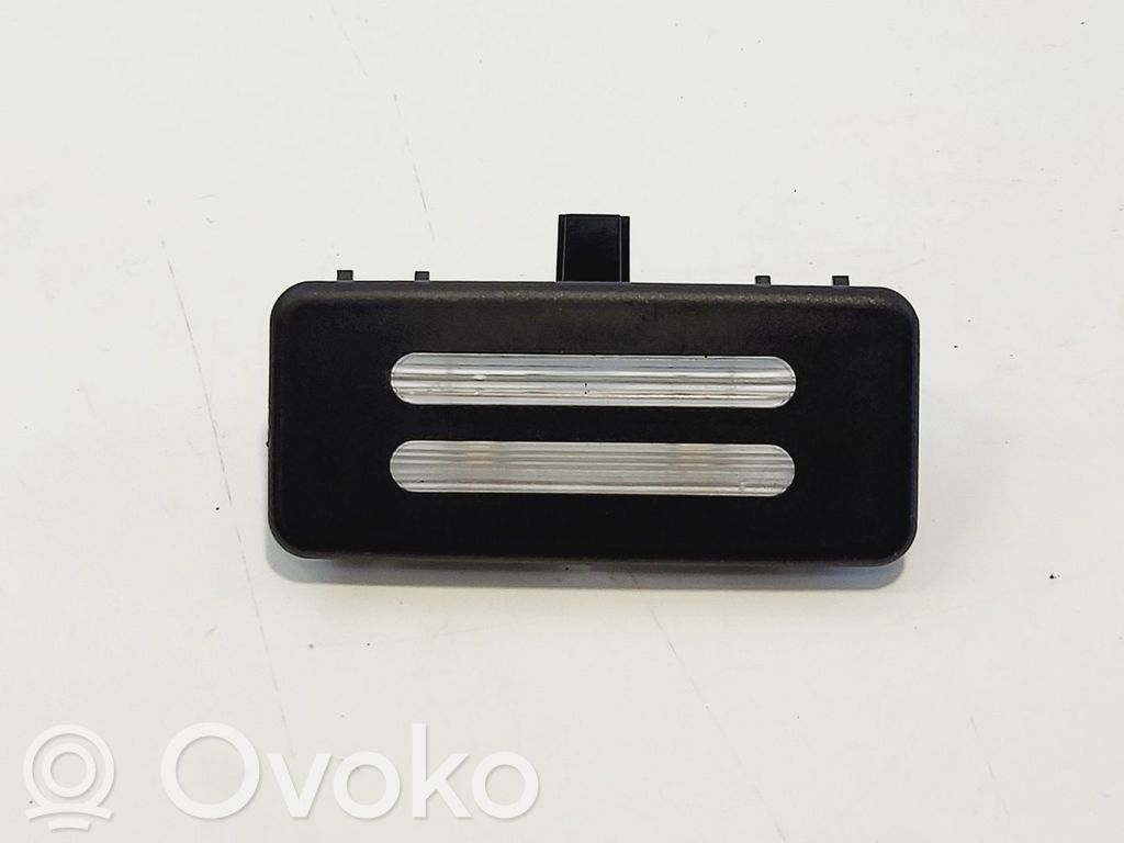 BMW X5 E70 Spiegelblinker 