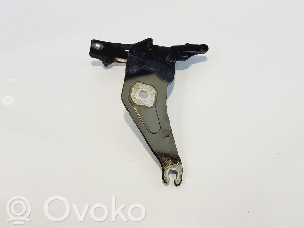 BMW X6 E71 Cerniere del vano motore/cofano 