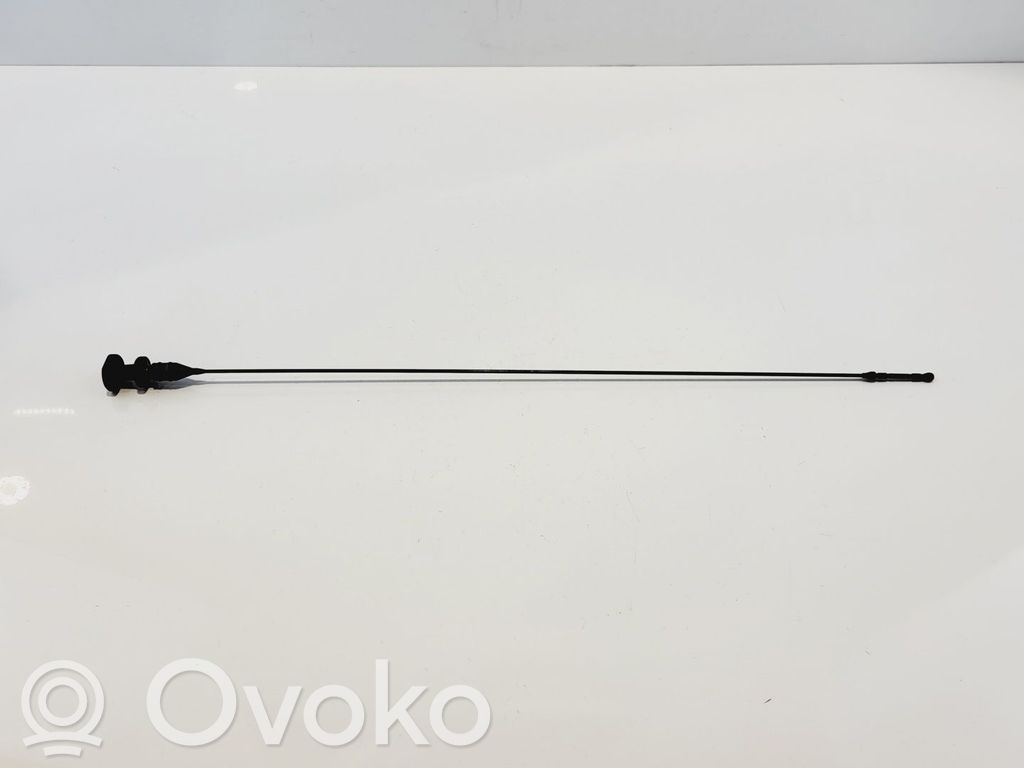 Bagnet poziomu oleju   11437807995,11437807995