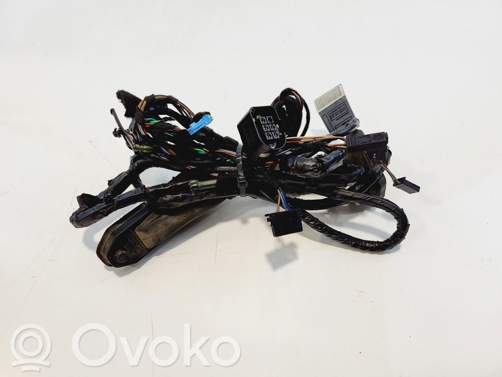 BMW X5 E70 Cableado de puerta trasera 