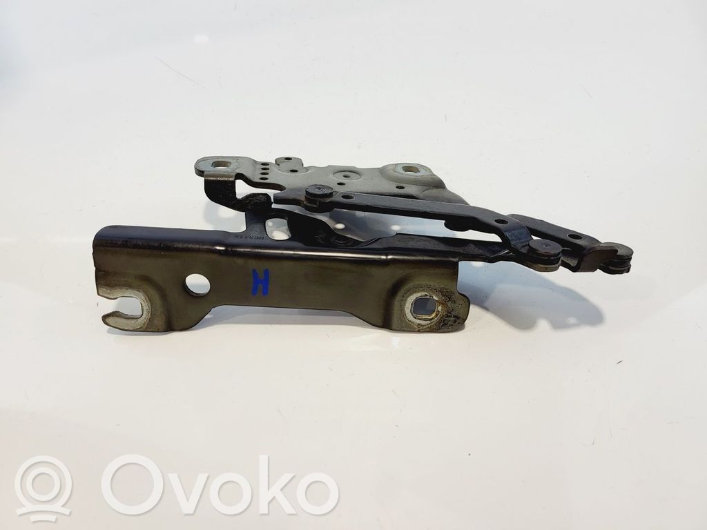 Scharnier Motorhaube   41617286344,41617286344