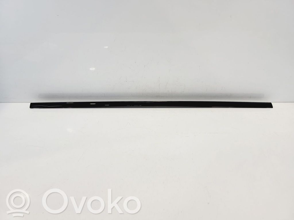 BMW 5 F10 F11 Verkleidung Türfenster Türscheibe hinten 