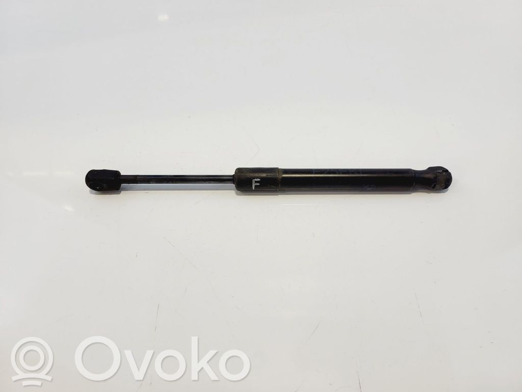 BMW X3 F25 Ammortizzatore portellone anteriore/cofano