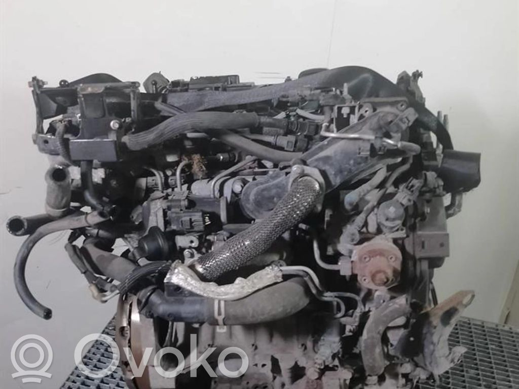 Ford Fiesta Variklis 