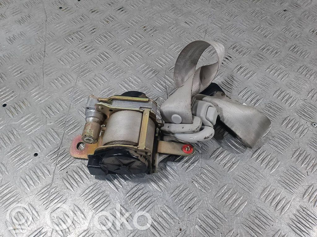 Cinturón delantero   2300031809129