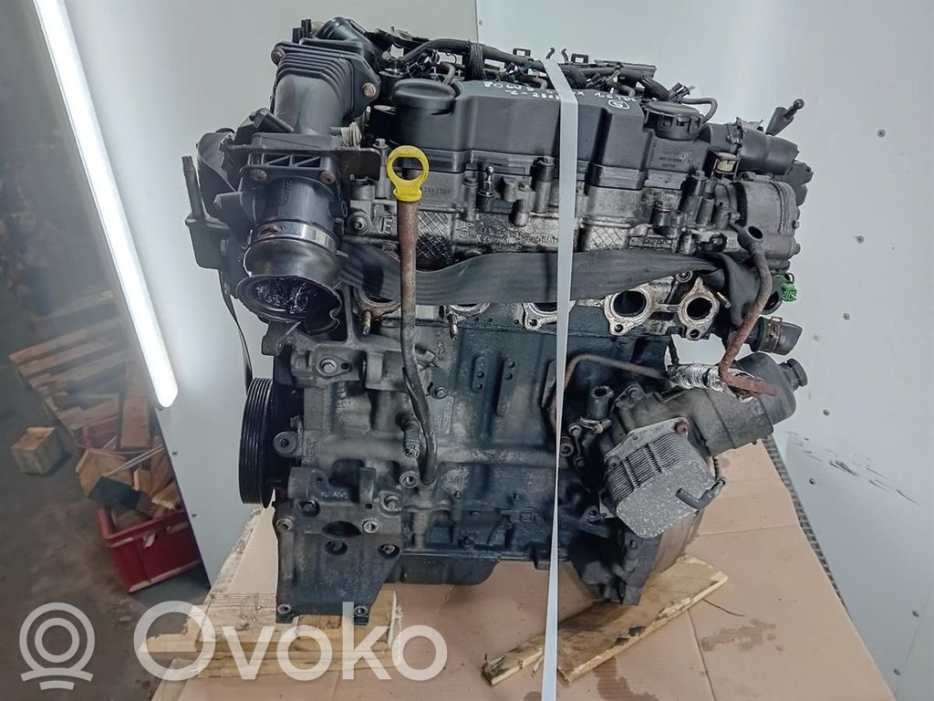 Engine   GBDA