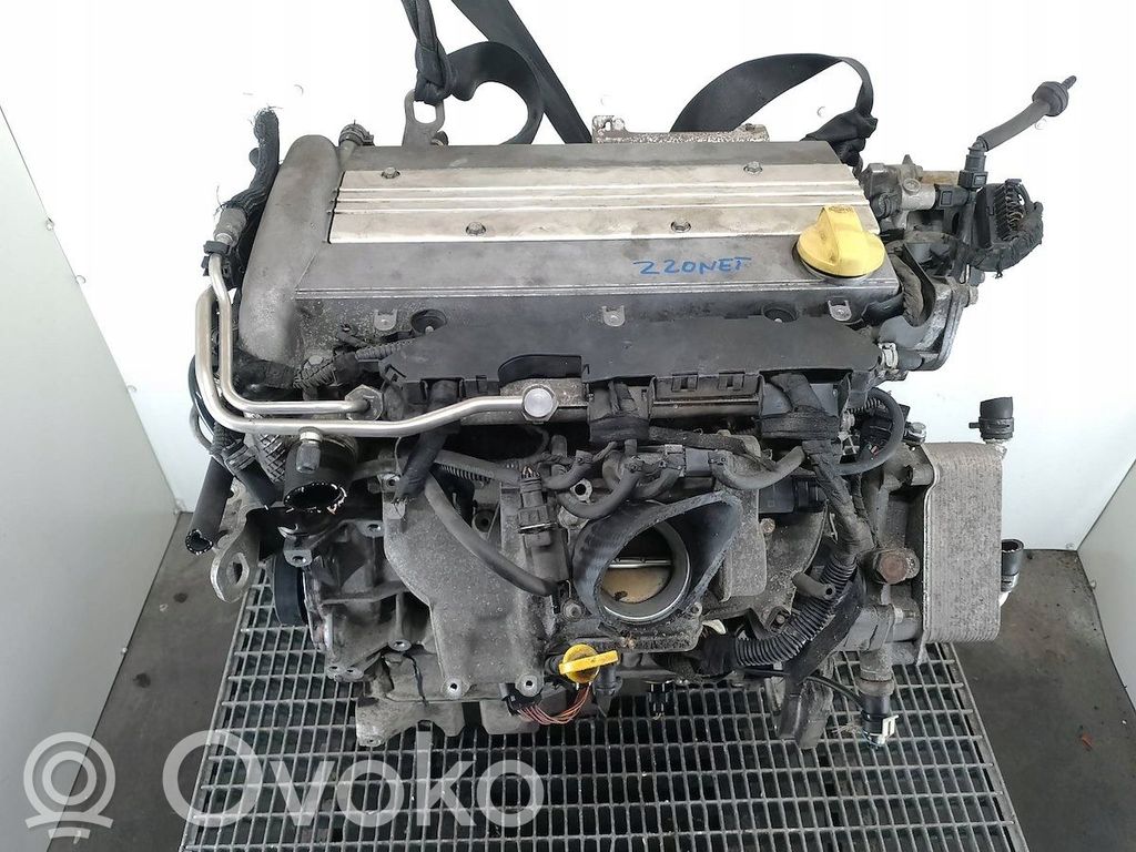 Opel Signum Variklis 