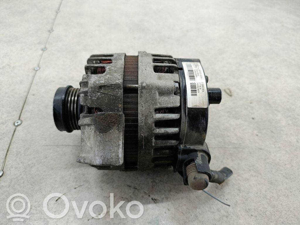 Generator/alternator   BV6T10300EB