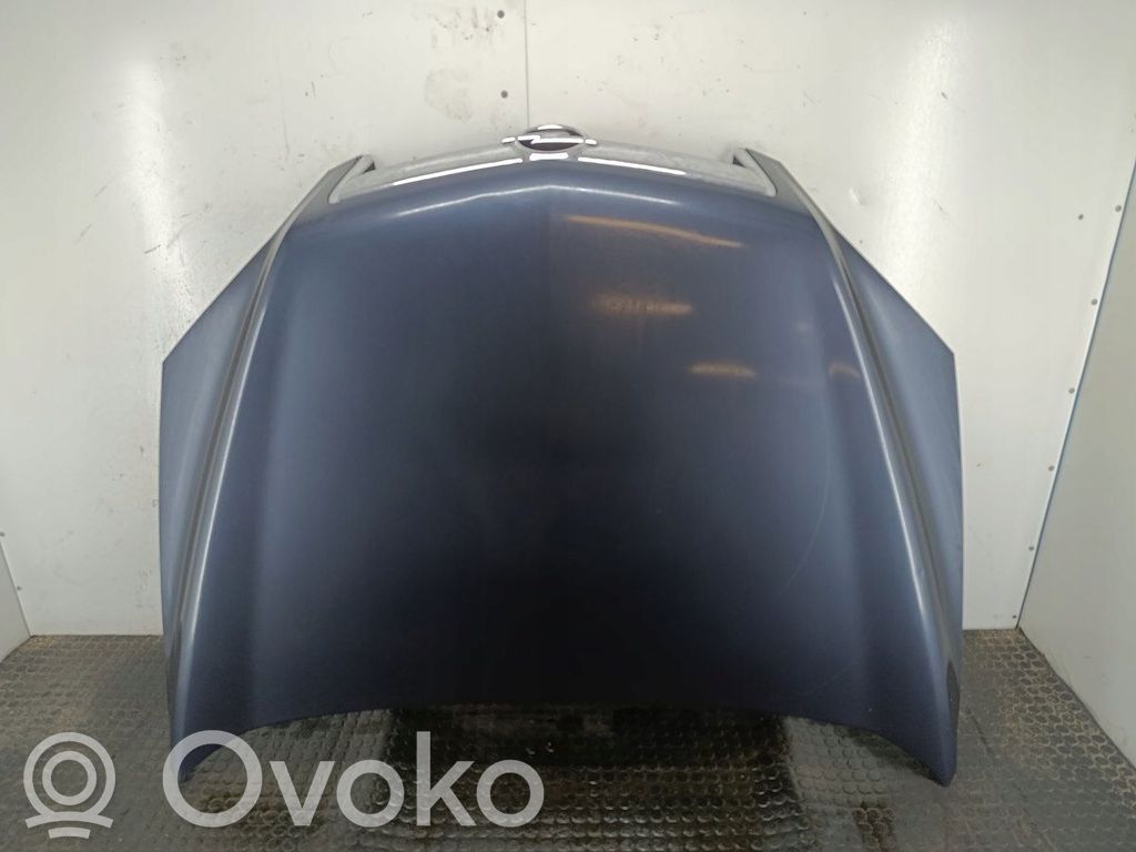 Opel Antara Capó/tapa del motor 